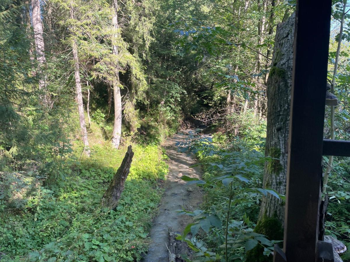 Apartament Idylla Leilighet Zakopane Eksteriør bilde